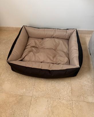 Cuccia cane media