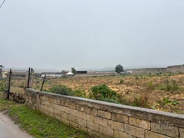 Vendita terreno agricolo