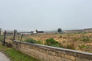 Vendita terreno agricolo