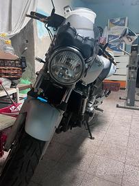 Honda hornet