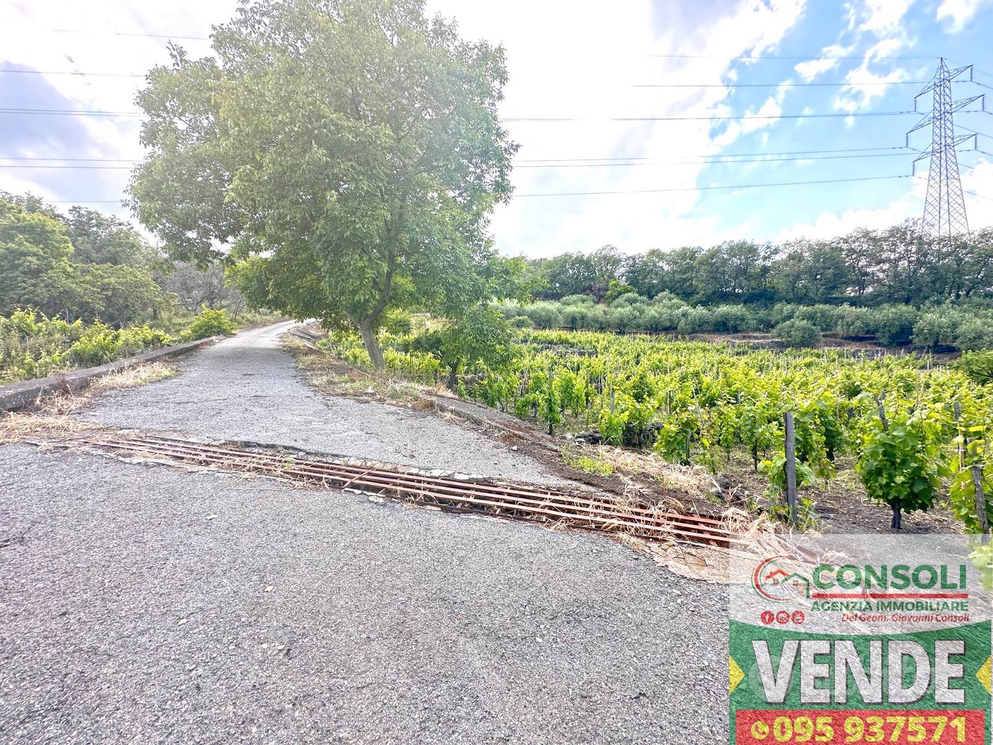 Terreno agricolo con fabbricato a Linguaglossa - Vista 5