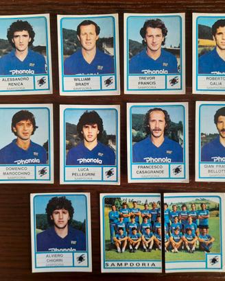 11 Figurine Sampdoria Calciatori panini 1983 1984