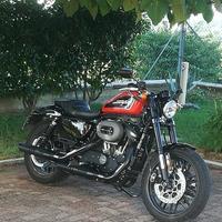 Harley Davinson Sposter Roadster