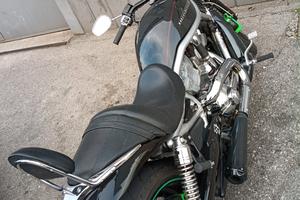 v Rod 2008