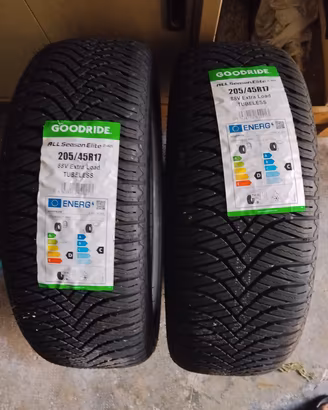 2 gomme quattro stagioni 205/45R17 nuove 