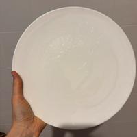 Villeroy&boch professionale 6 piatti