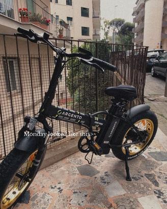Electric Bicycle