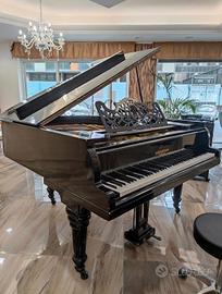 Pianoforte e mezza coda