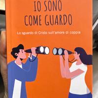 "Io sono come guardo” di Luigi Maria Epicoco