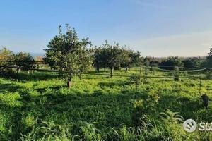 Terreno 15.000mq a Piedimonte Etneo