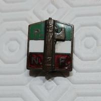 Spilla da giacca PNF