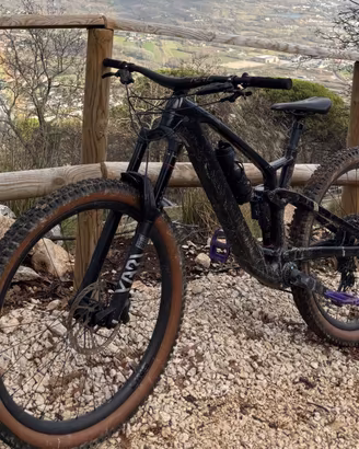 Trek Fuel EX-e (enduro/trail)