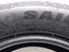 Immagine 7