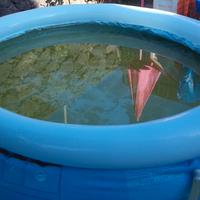 Accessori, piscina, canotto per l'estate