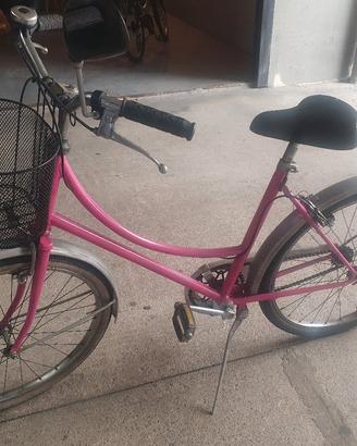 bicicletta 