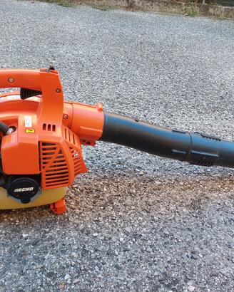 Soffiatore echo pb250 