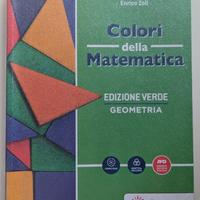 COLORI DELLA MATEMATICA - EDIZIONE VERDE GEOMETRIA