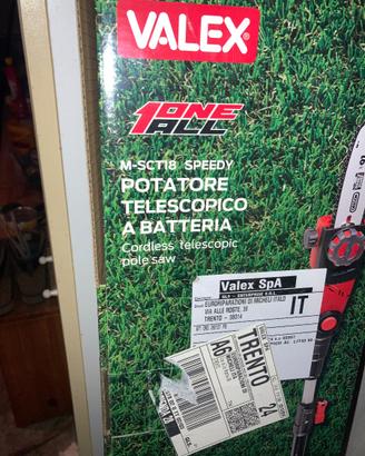Potatore telescopico a batteria Valex