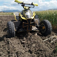 Quad Suzuki 450