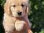 Immagine 17