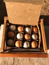 Ricreazioni in ceramica…