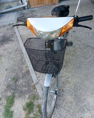 Bici elettrica