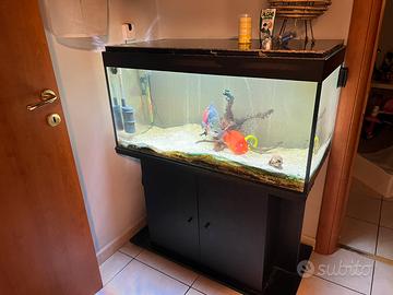 Acquario 250lt completo