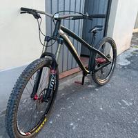 Bici enduro