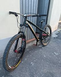 Bici enduro