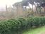 Immagine 10