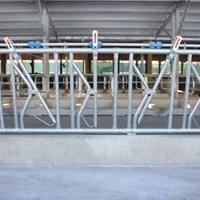 Rastrelliere/autocatture per bovini