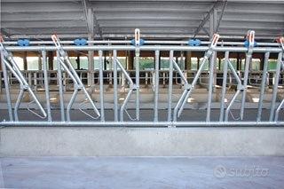 Rastrelliere/autocatture per bovini