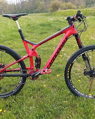 cannondale trigger carbonio