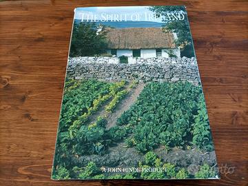 The Spirit Of Ireland Libro testi di Paul Nolan