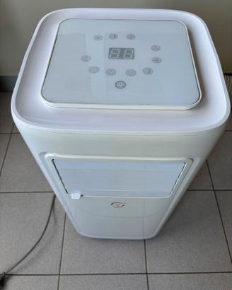 Climatizzatore / Deumidificatore