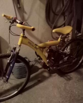 Bicicletta Mountain bike