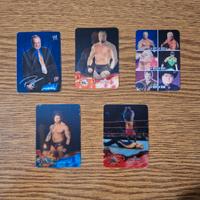 Lotto 5 figurine WWE Animotion 2005