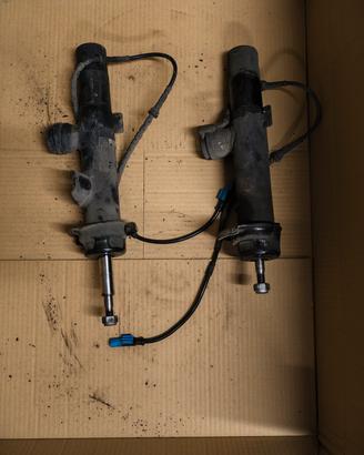 Ammortizzatori posteriori originali BMW Z4 E89 