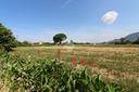 ter-agricolo-a-agropoli