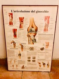 Quadro medico arredo