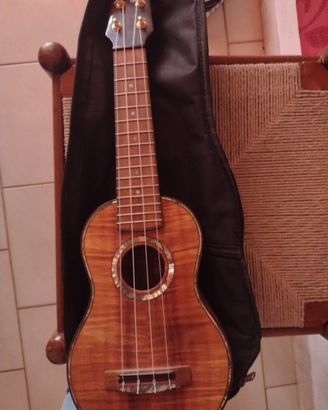 Ukulele Pegasus Guitars & Ukuleles