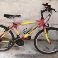 🚲 Bici Silver Star 24" – Tenuta bene, usata poco!
