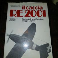 Il caccia RE 2001