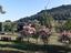 Immagine 11