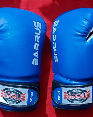 GUANTONI DA BOX BARRUS BLU