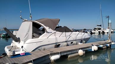 SESSA 35 OYSTER