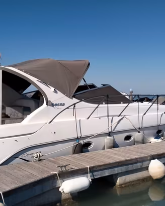 SESSA 35 OYSTER
