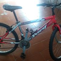 Bicicletta mountain bike