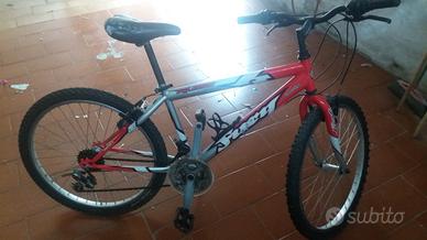 Bicicletta mountain bike