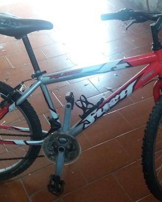 Bicicletta mountain bike